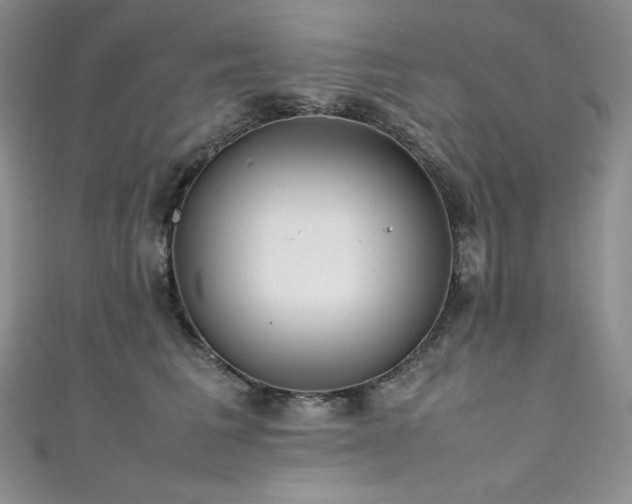 X0000111530613200907141529