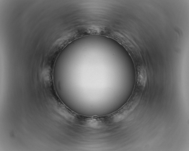 X0000111530616200907141529