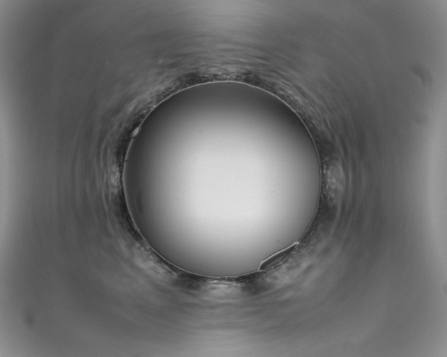 X0000111530617200907141529