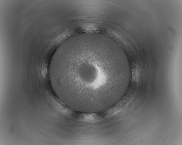 X0000111530618200907141529