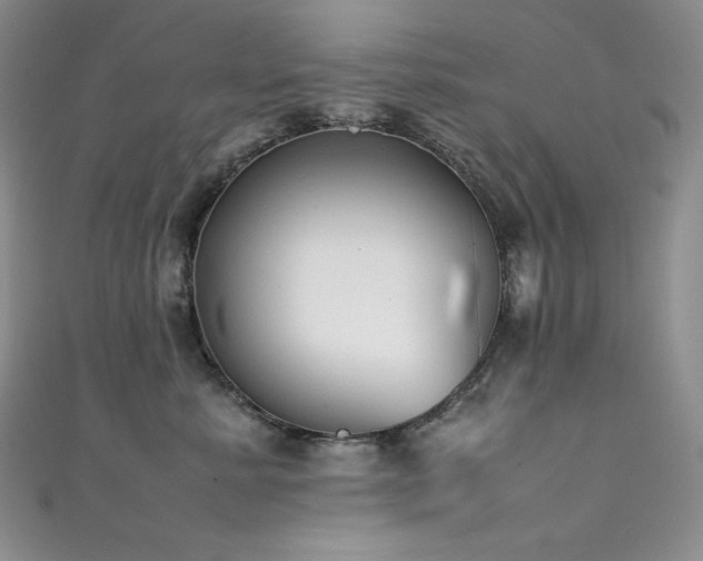 X0000111530619200907141529