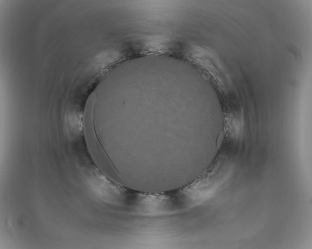 X0000111530621200907141529