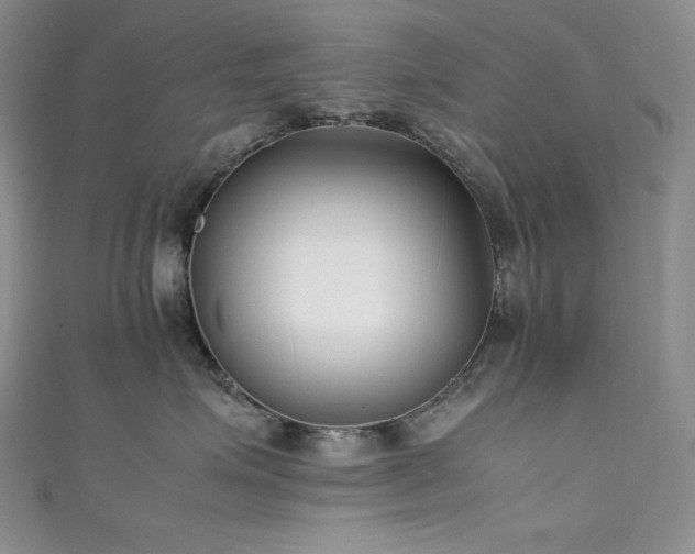 X0000111530623200907141529