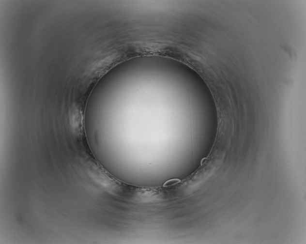 X0000111530624200907141529