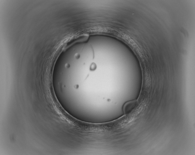 X0000111530625200907141529