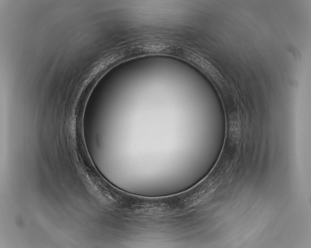 X0000111530626200907141529