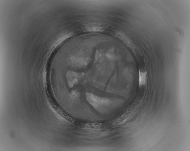 X0000111530627200907141529