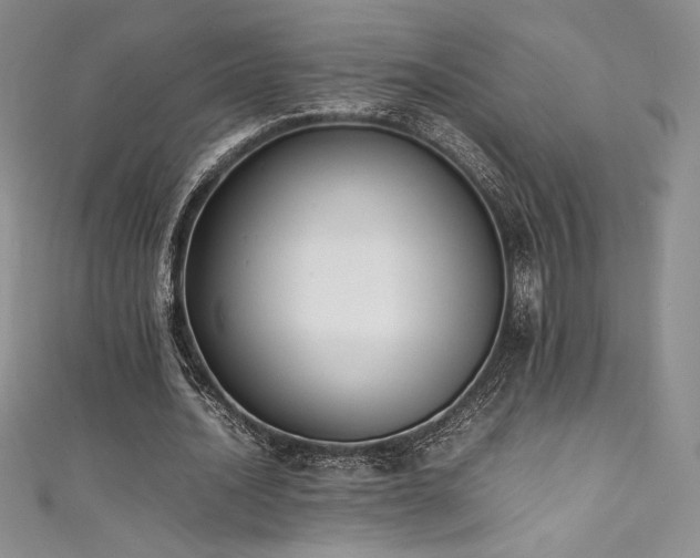 X0000111530628200907141529