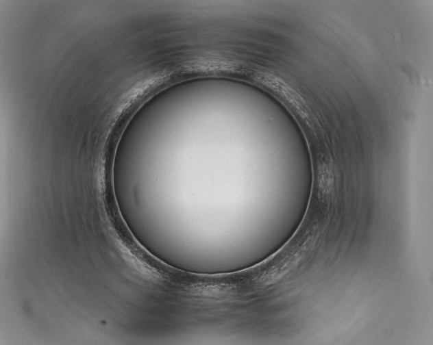 X0000111530629200907141529