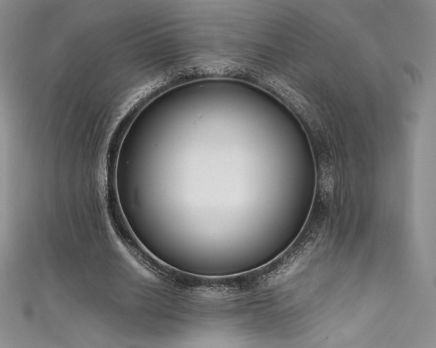 X0000111530630200907141529