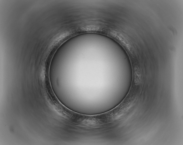 X0000111530631200907141529