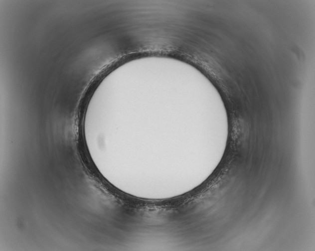 X0000111530632200907141529