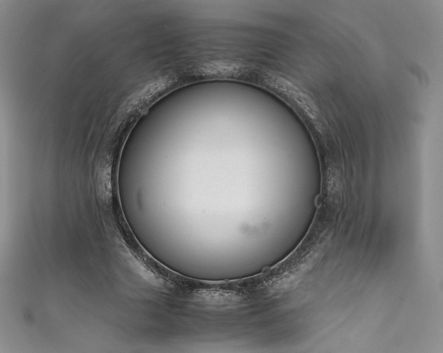 X0000111530633200907141529