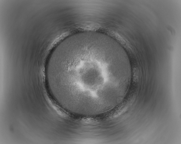 X0000111530634200907141529