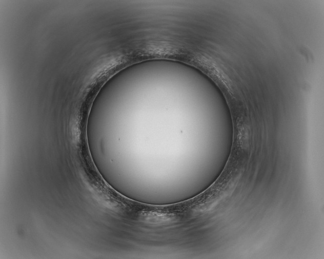 X0000111530635200907141529