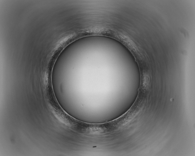 X0000111530636200907141529