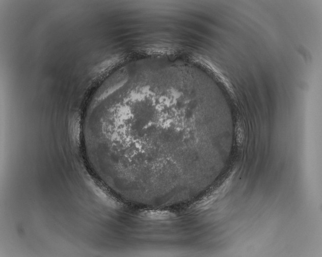 X0000111530637200907141529