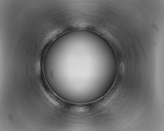 X0000111530638200907141529