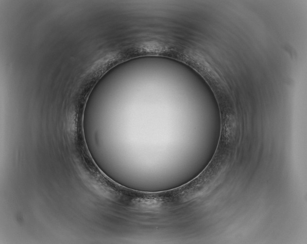 X0000111530639200907141529