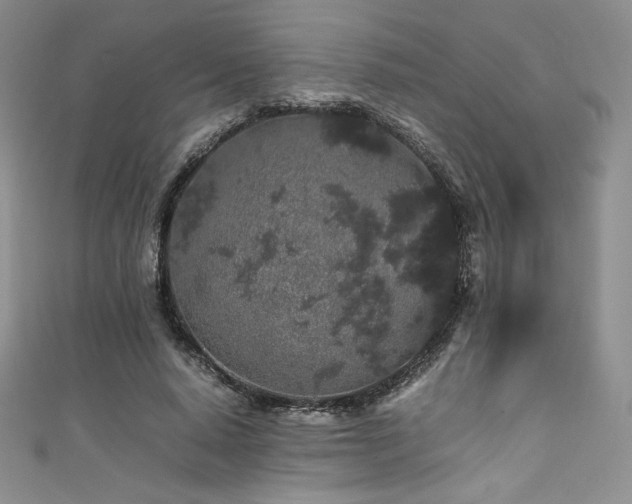 X0000111530640200907141529