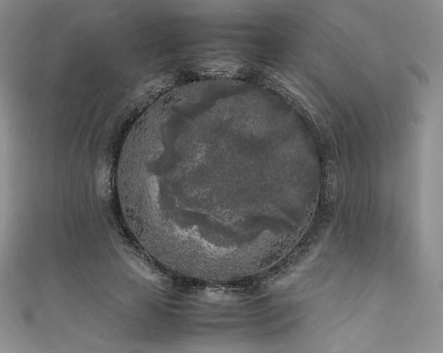 X0000111530641200907141529