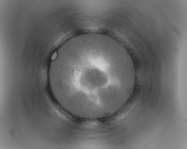 X0000111530642200907141529