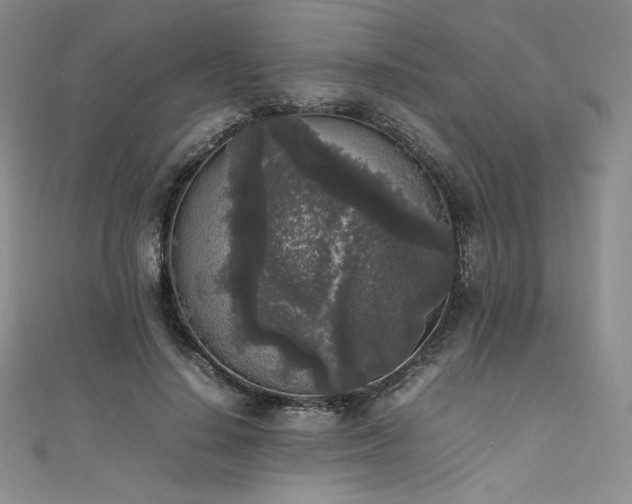 X0000111530644200907141529