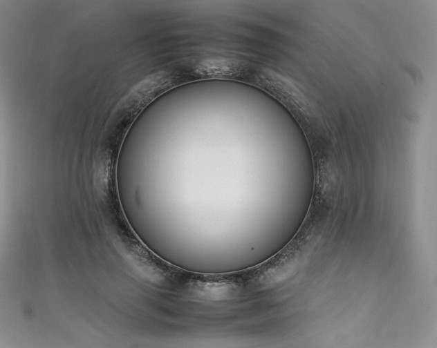 X0000111530645200907141529