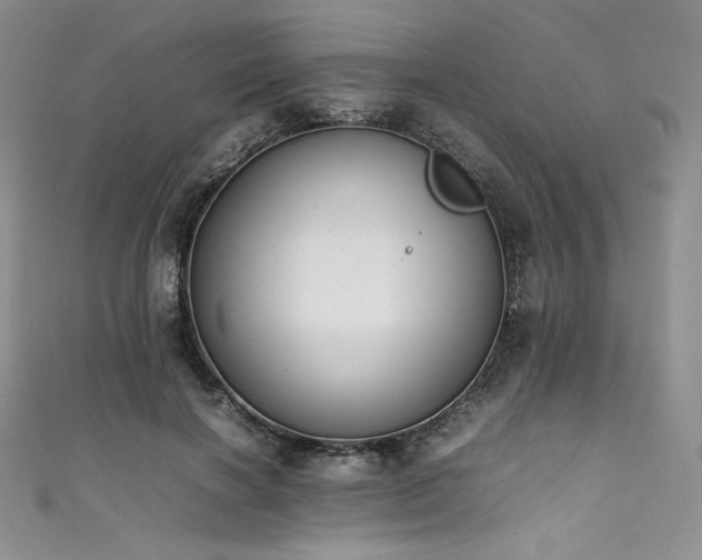 X0000111530646200907141529