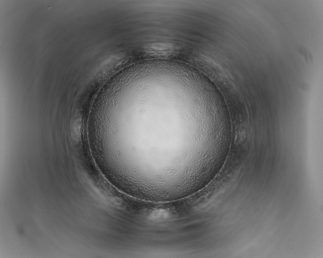 X0000111530647200907141529