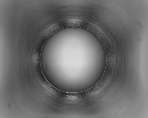 X0000111530649200907141529