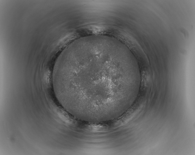 X0000111530650200907141529