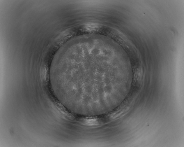 X0000111530651200907141529