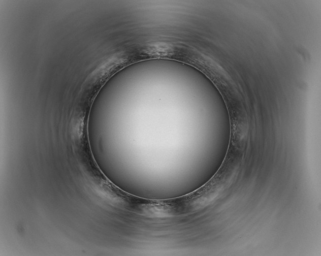 X0000111530652200907141529