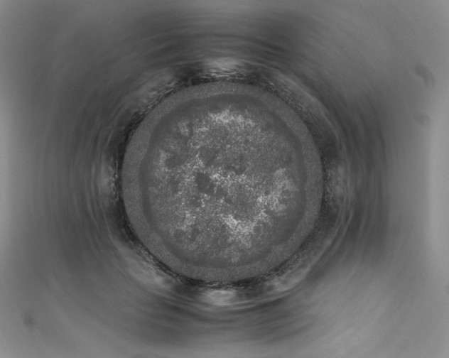 X0000111530653200907141529