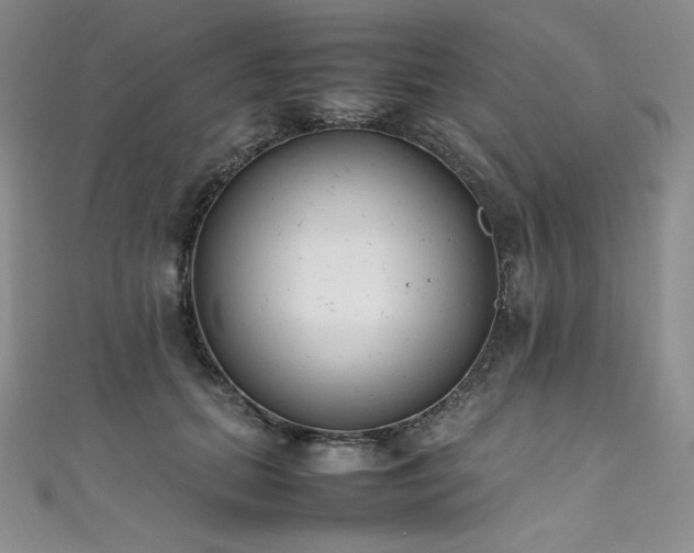 X0000111530655200907141529