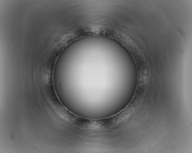 X0000111530656200907141529