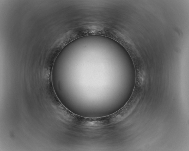 X0000111530657200907141529