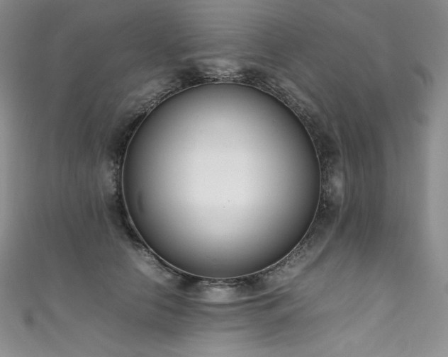 X0000111530658200907141529