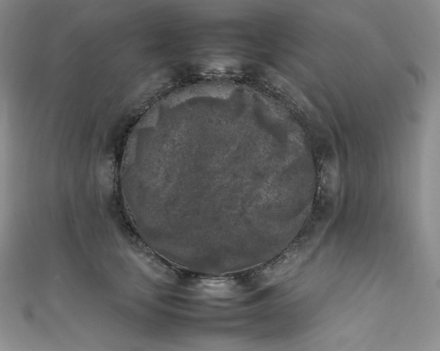 X0000111530659200907141529