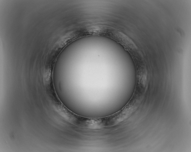 X0000111530660200907141529