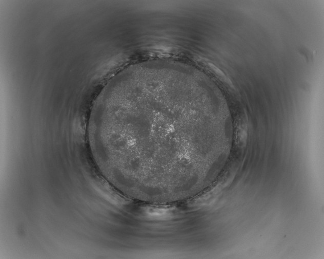 X0000111530661200907141529