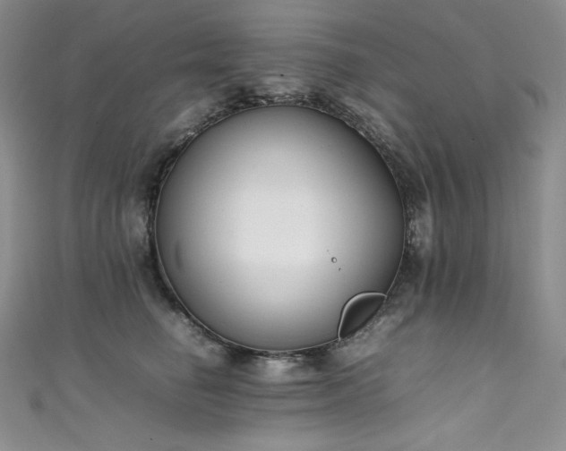 X0000111530662200907141529