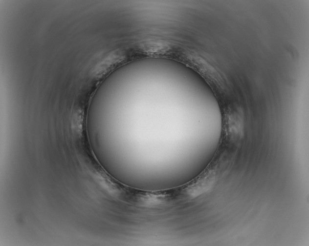 X0000111530664200907141529