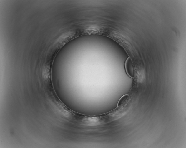 X0000111530665200907141529