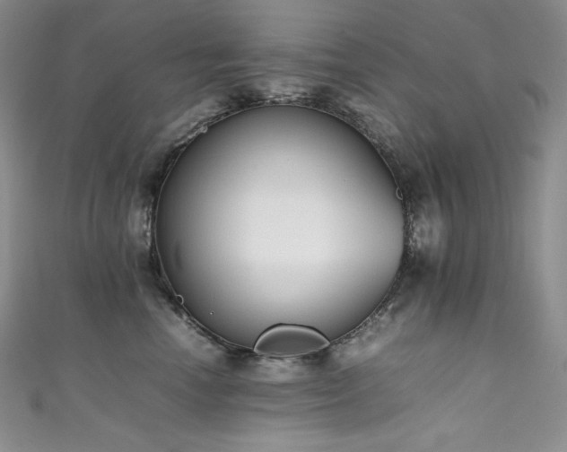 X0000111530666200907141529