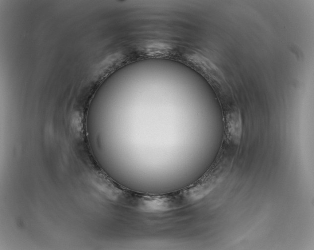 X0000111530667200907141529