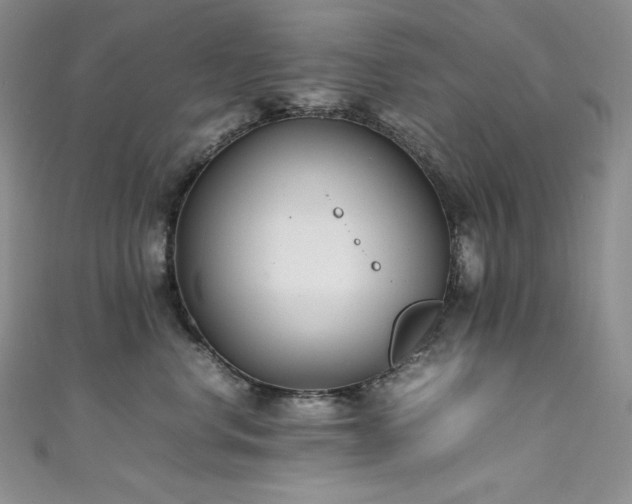 X0000111530668200907141529