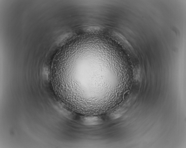 X0000111530669200907141529