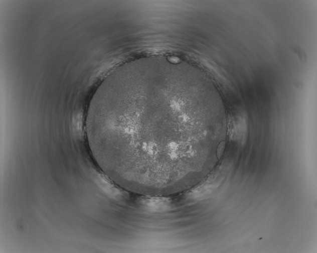 X0000111530670200907141529